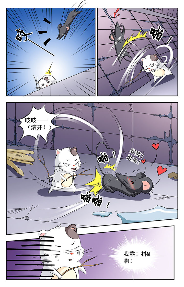 第113章：2
