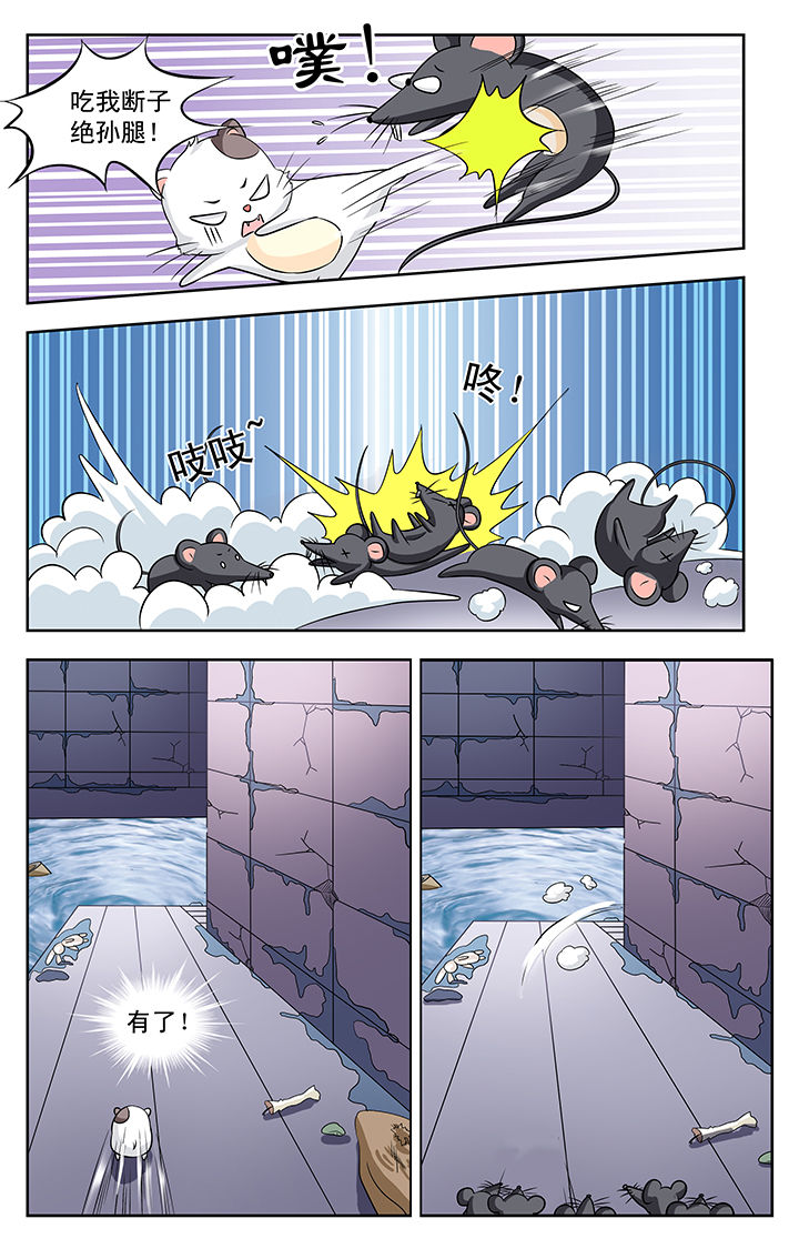 第113章：3