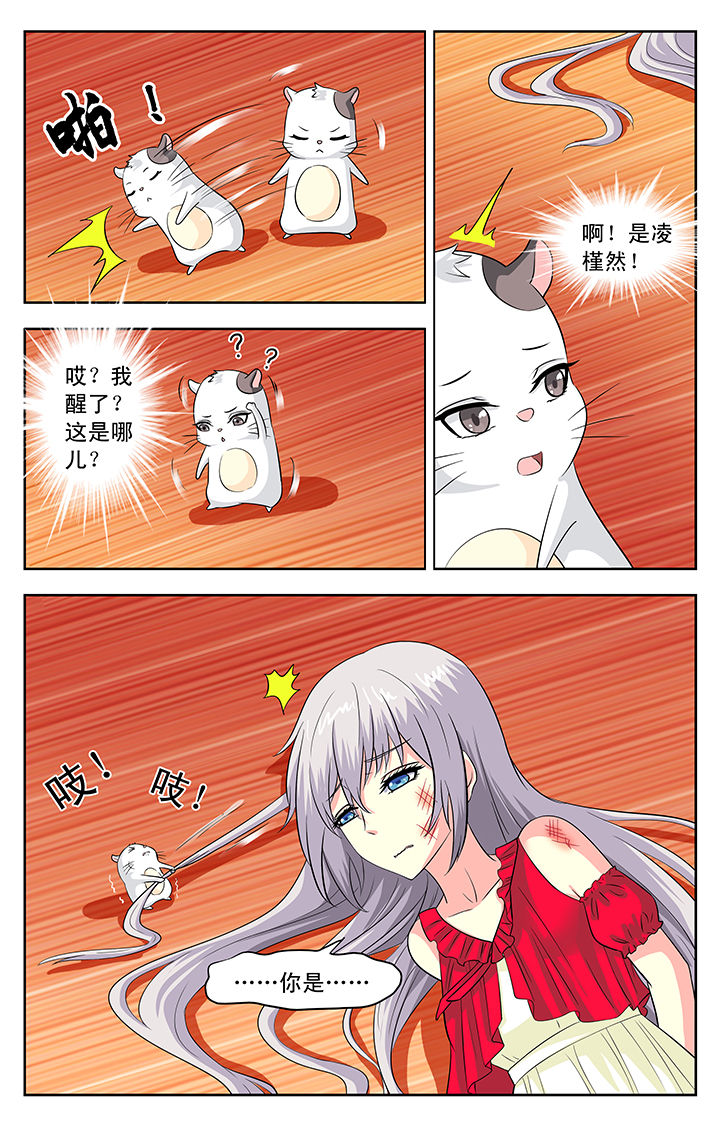 第116章：5