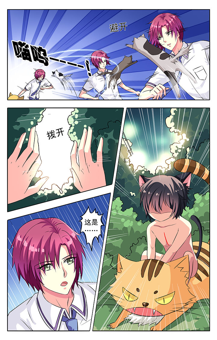 第54章：5