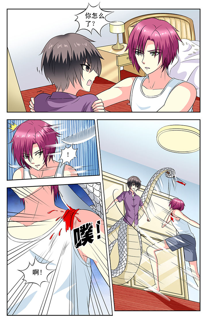 第84章：3