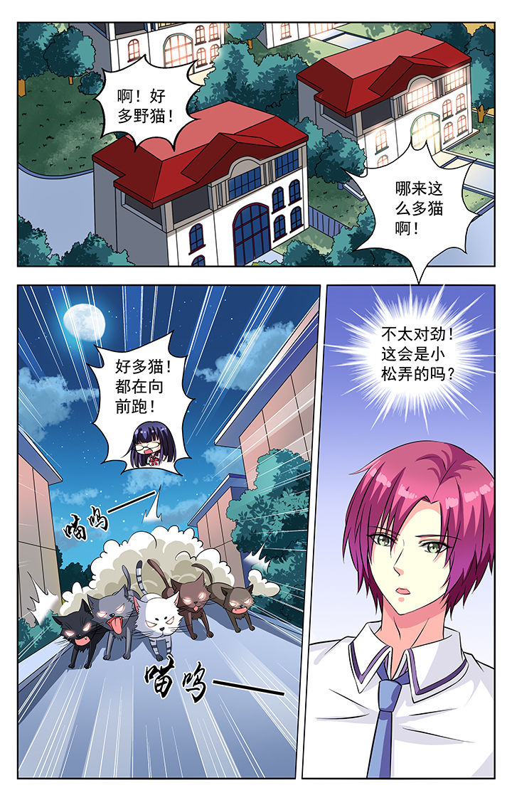 第54章：0