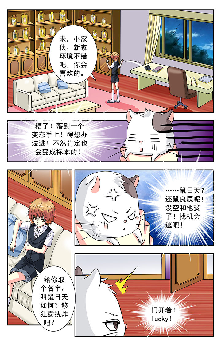 第114章：1