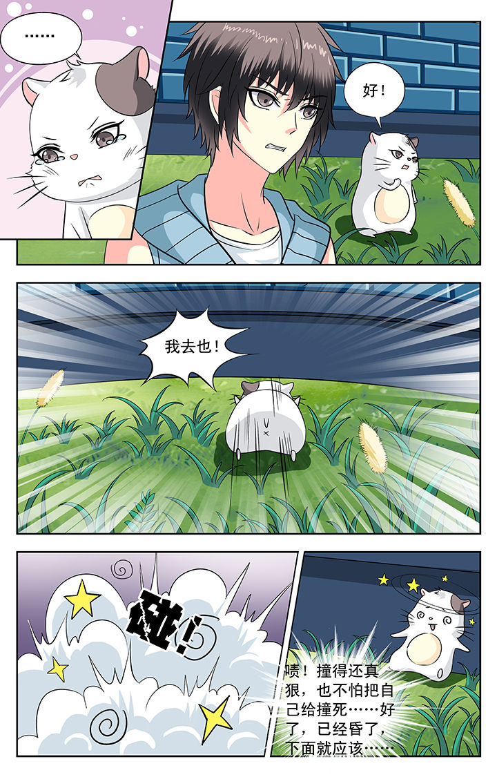 第115章：4