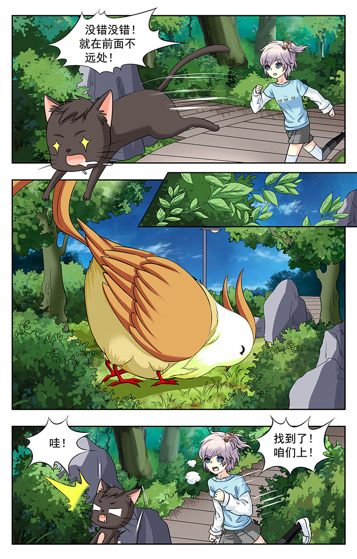 第223章：4