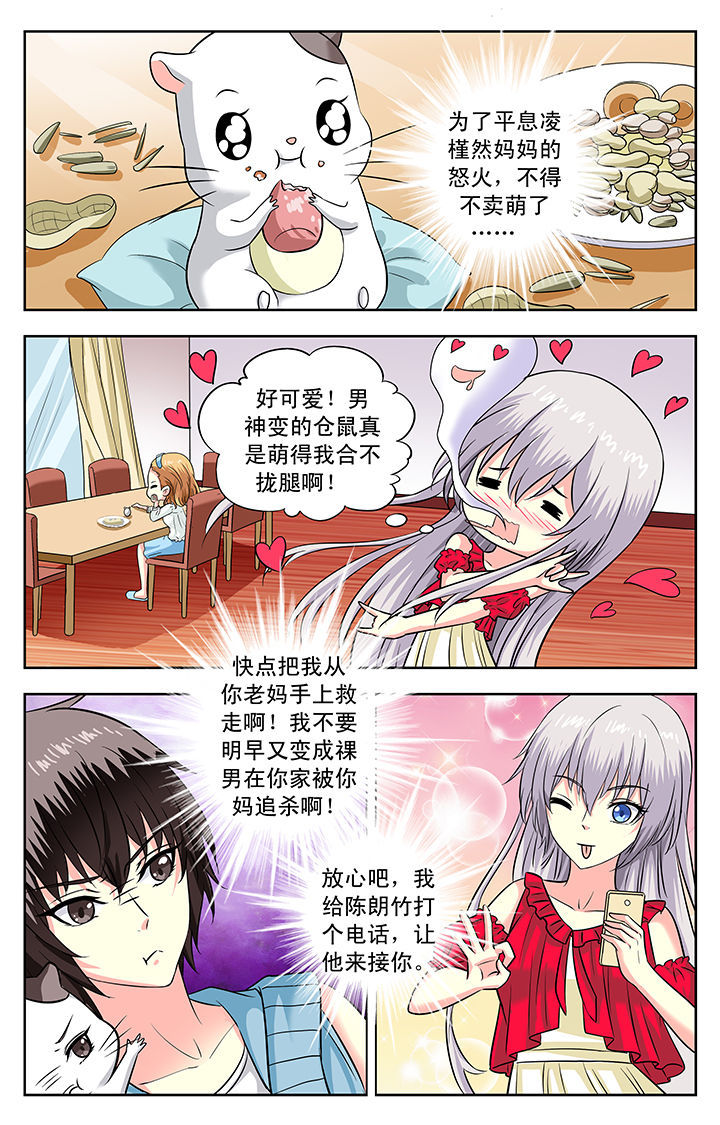 第121章：6