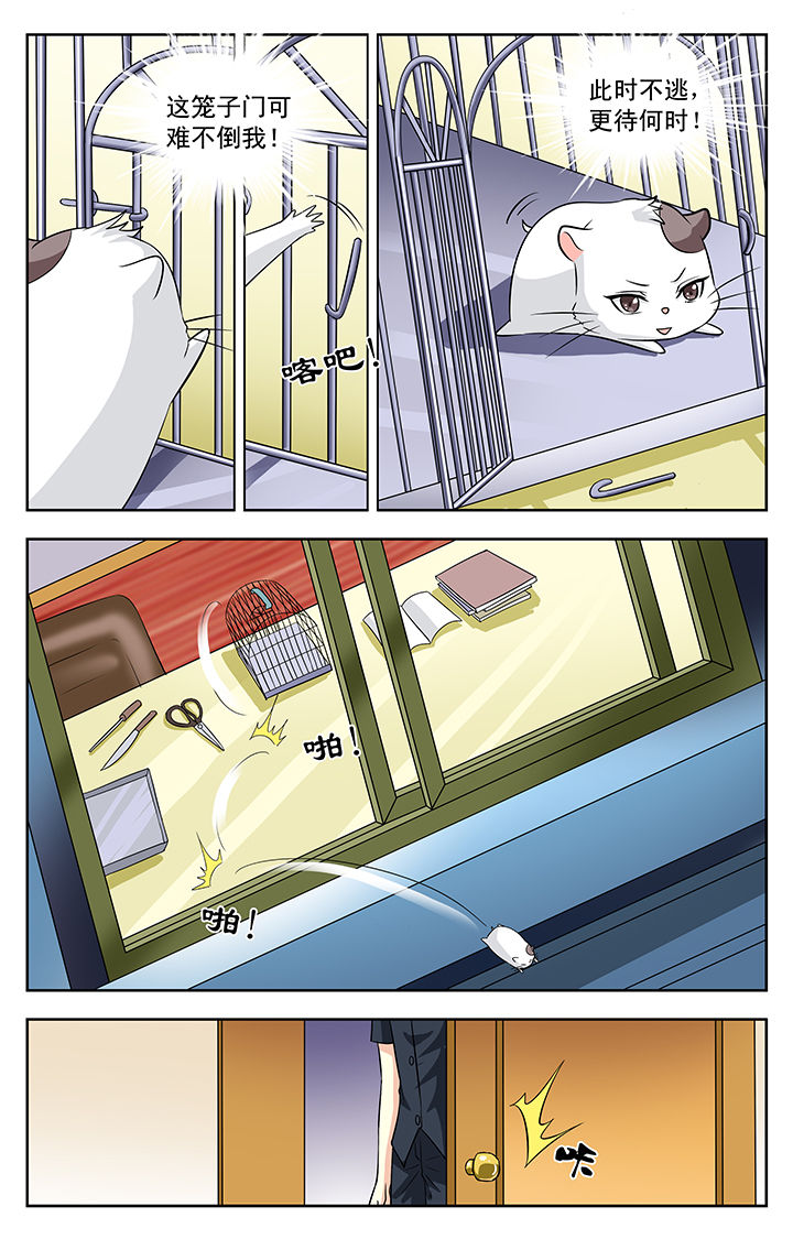 第114章：5