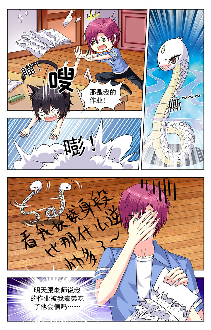 第205章：3