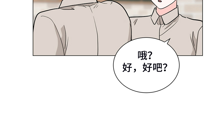 第64章：你们自行解决10