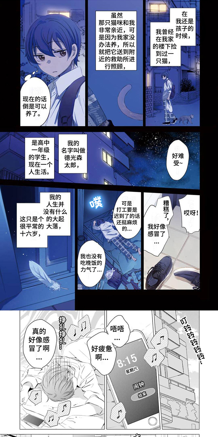 第1章：天降少女0