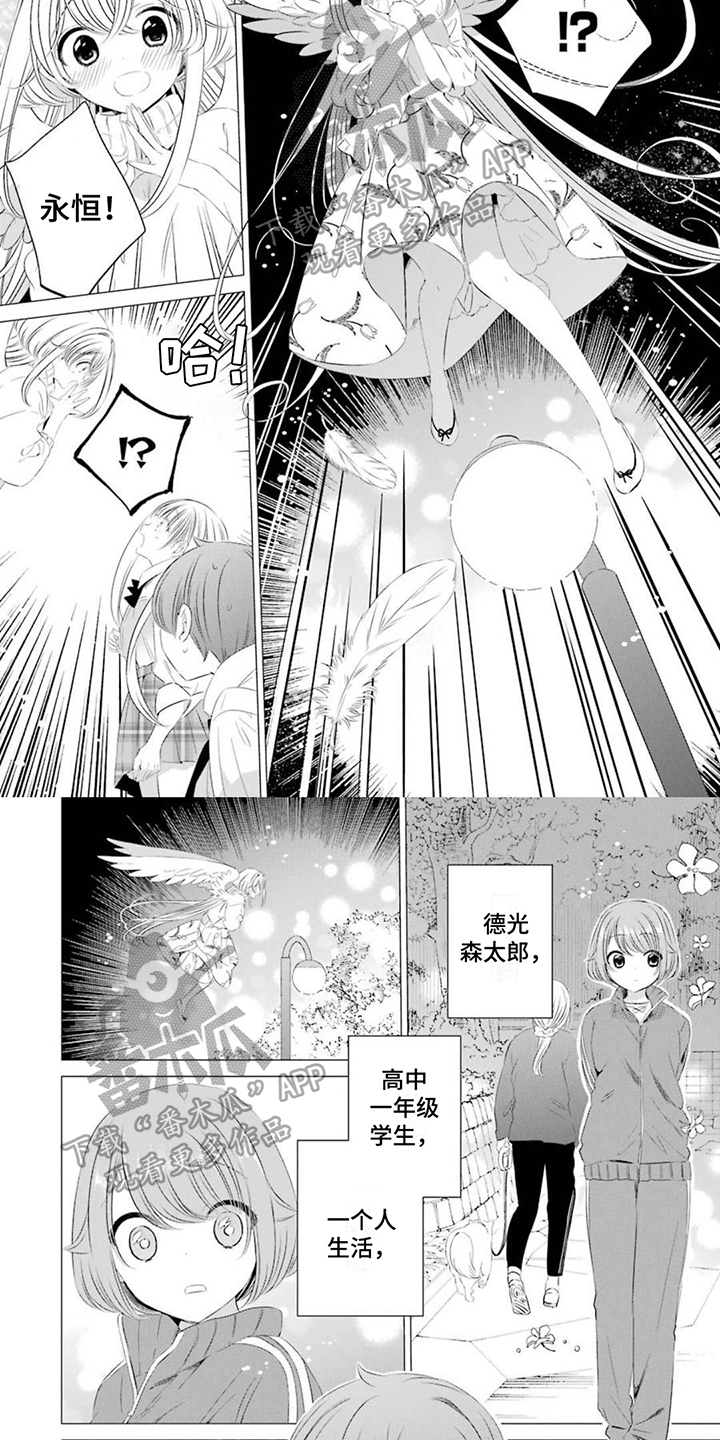 第19章：不普通3