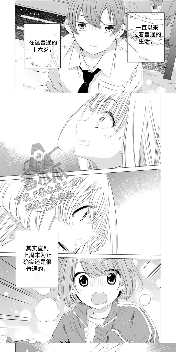 第19章：不普通4