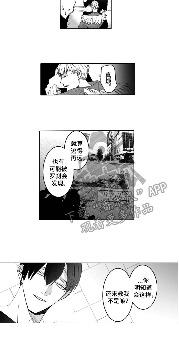 第20章：恋人6