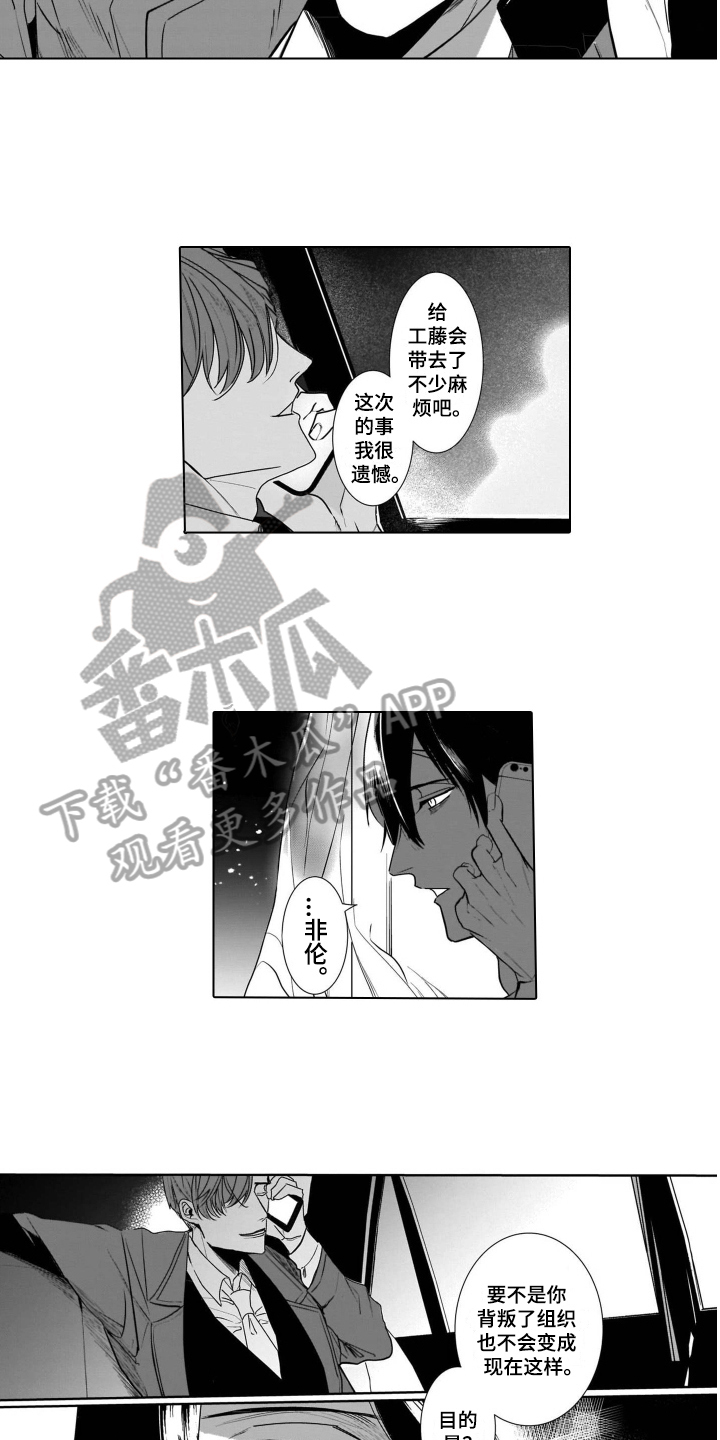 第10章：条件10