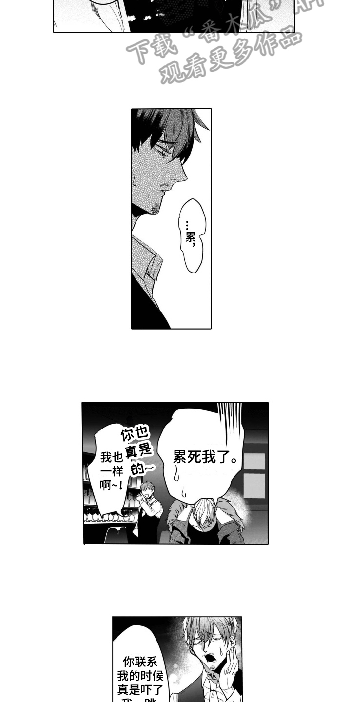 第19章：后续3