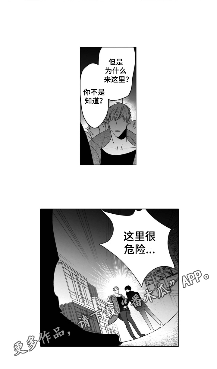 第17章：想念11