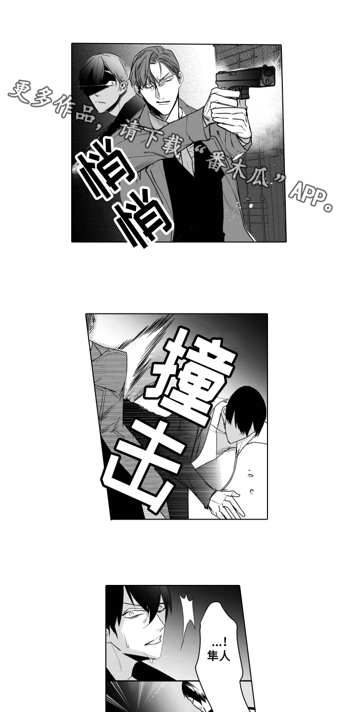 第19章：后续0