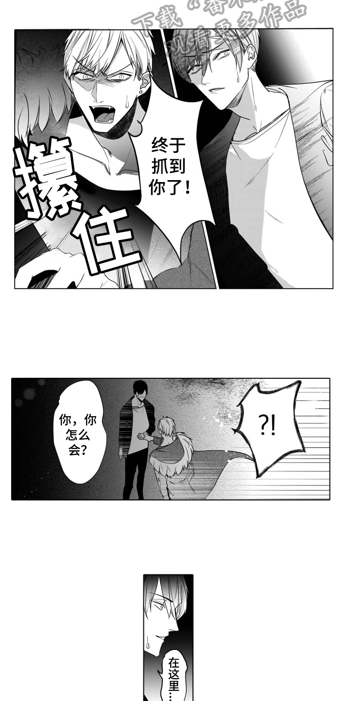 第17章：想念9