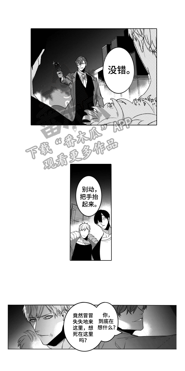 第18章：报警0