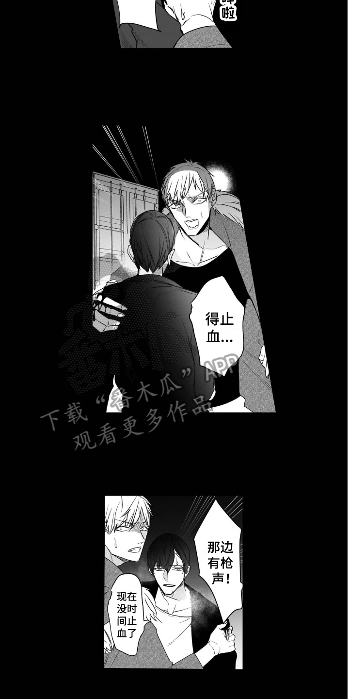 第19章：后续7
