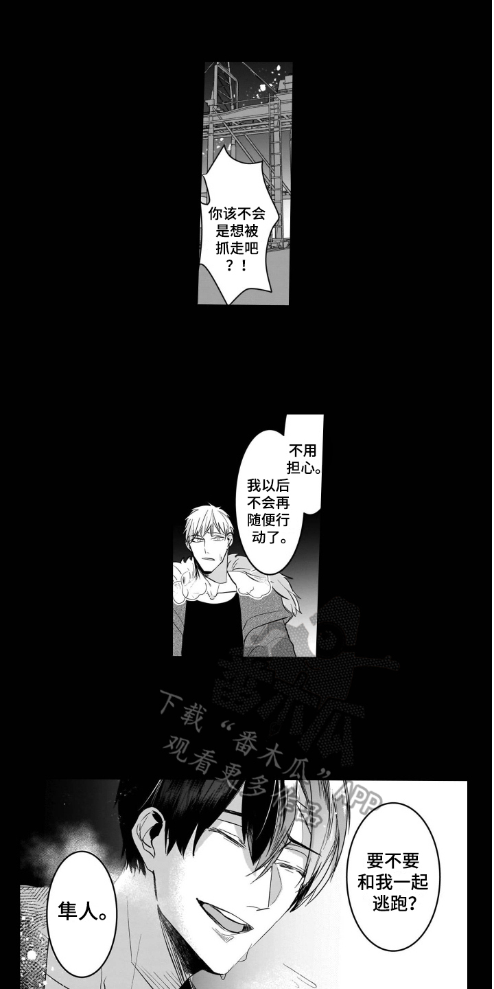 第19章：后续8