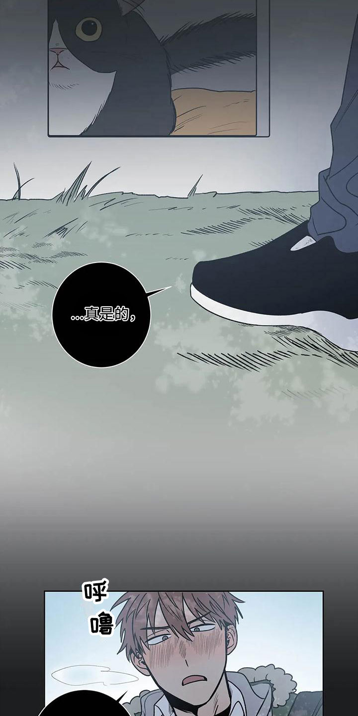第7章：不是你的错11