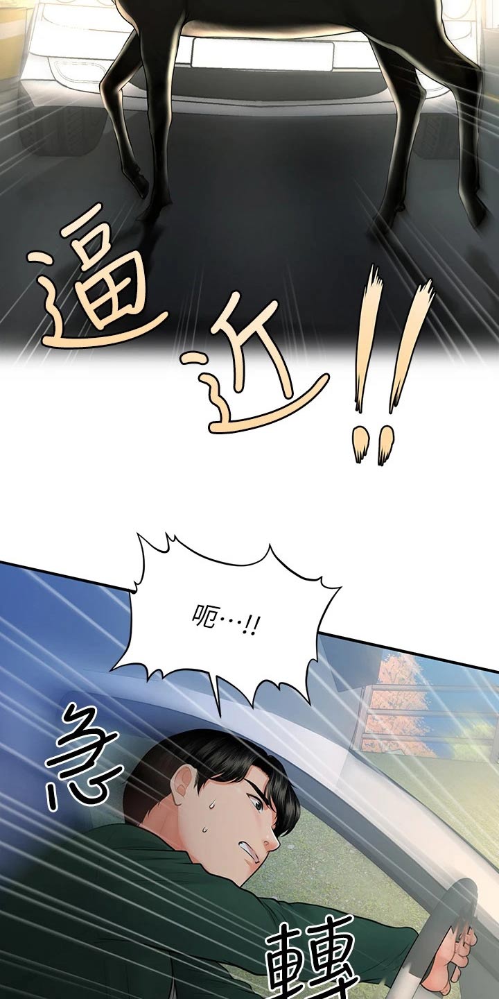 第132章：车祸5
