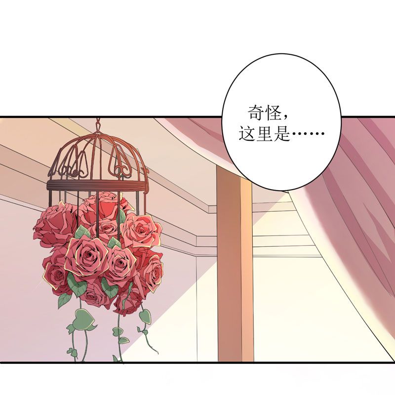 第3章：行使夫妻权利9