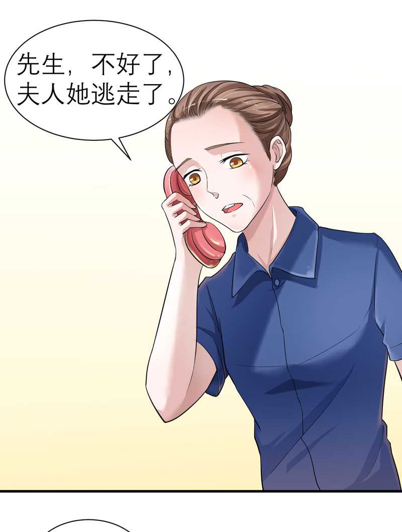 第21章：夫人逃跑了25