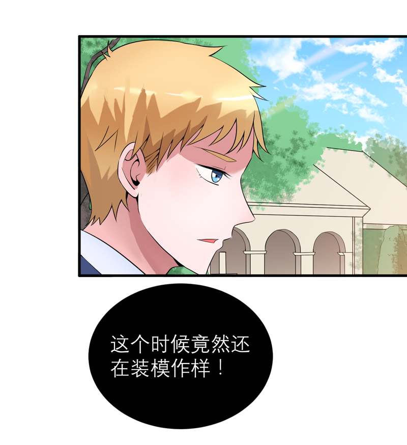 第117章：装模作样22