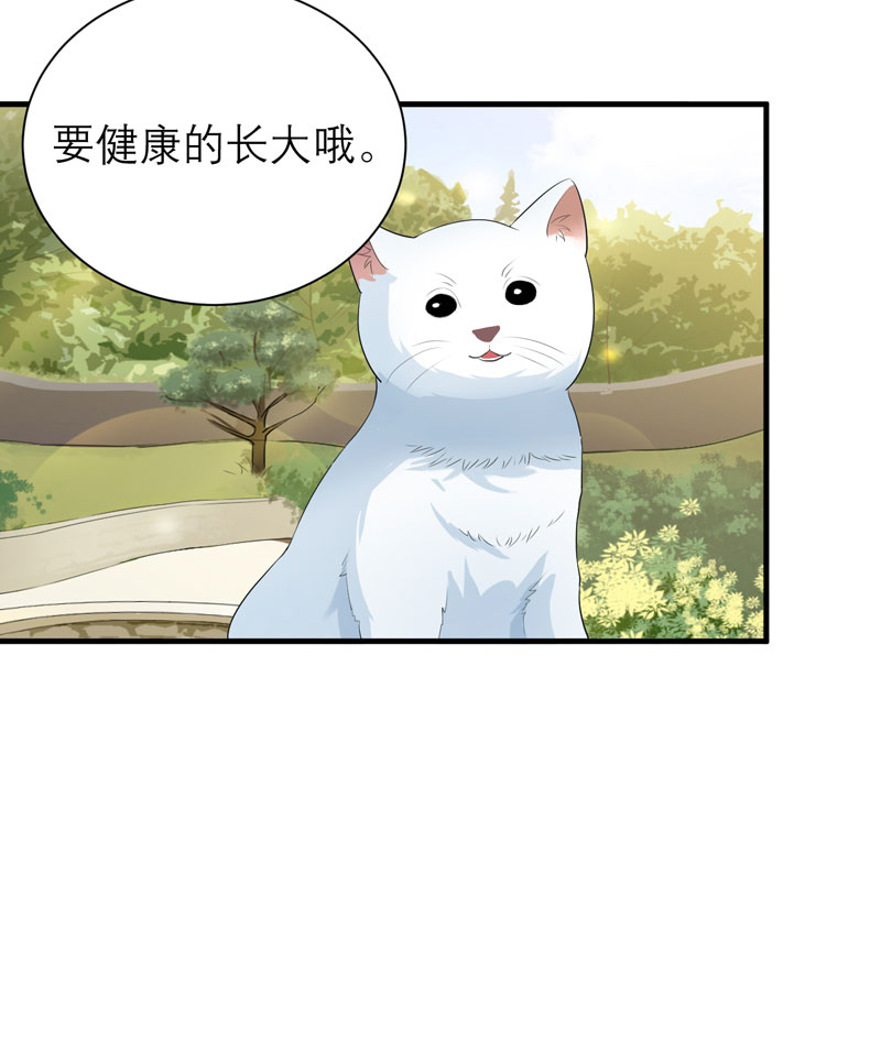 第53章：跟我联手吧21