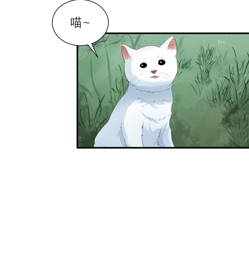 第61章：心凉了还会暖吗5