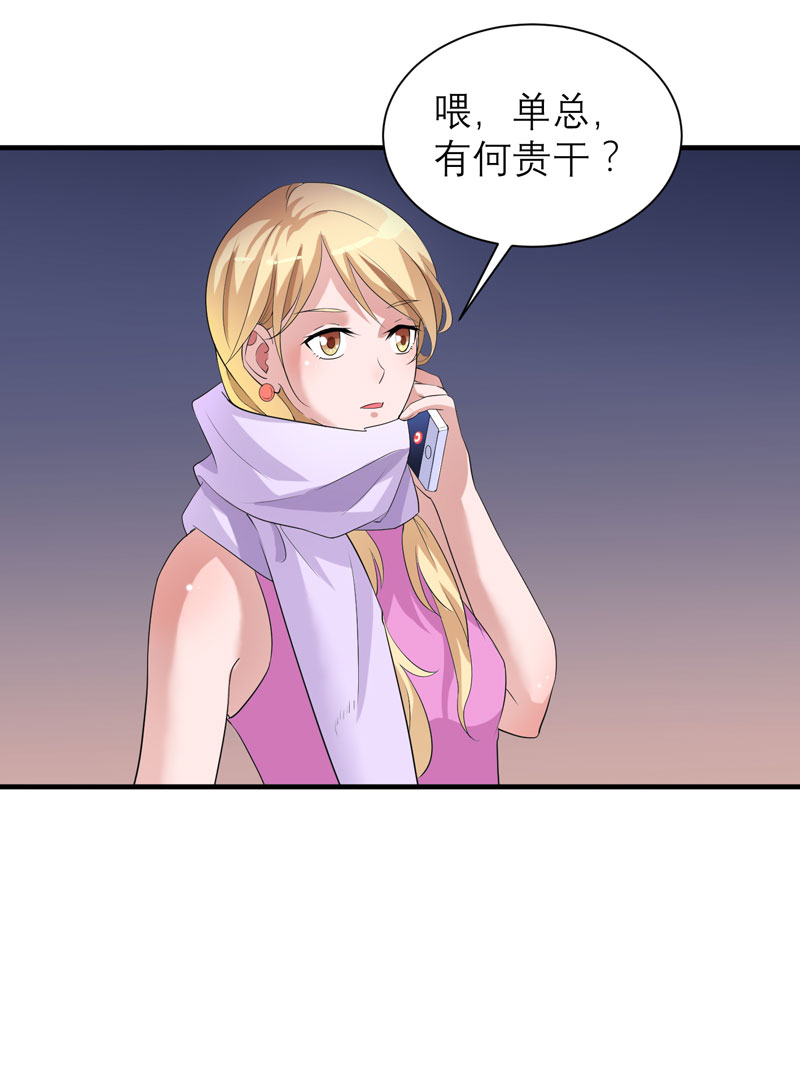 第92章：我有一笔生意想和单总谈谈25