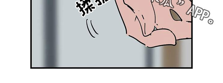 第50章：我想报答你14
