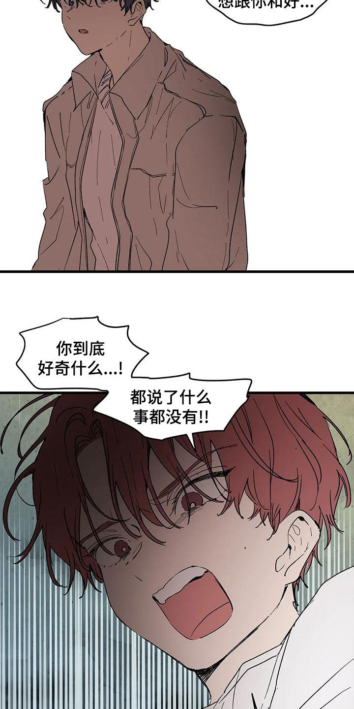 第66章：卷钱跑了2