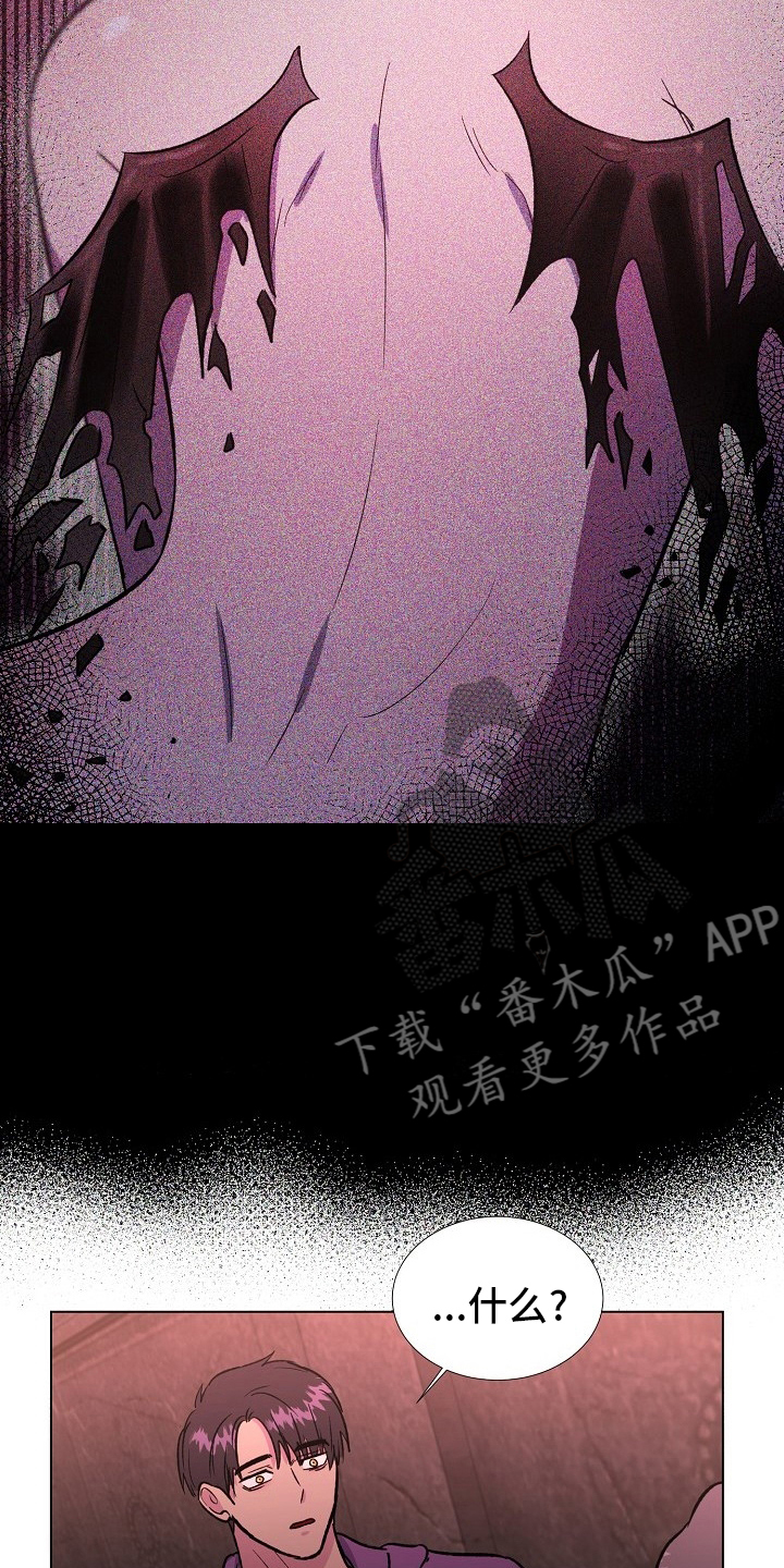 第62章：选择12