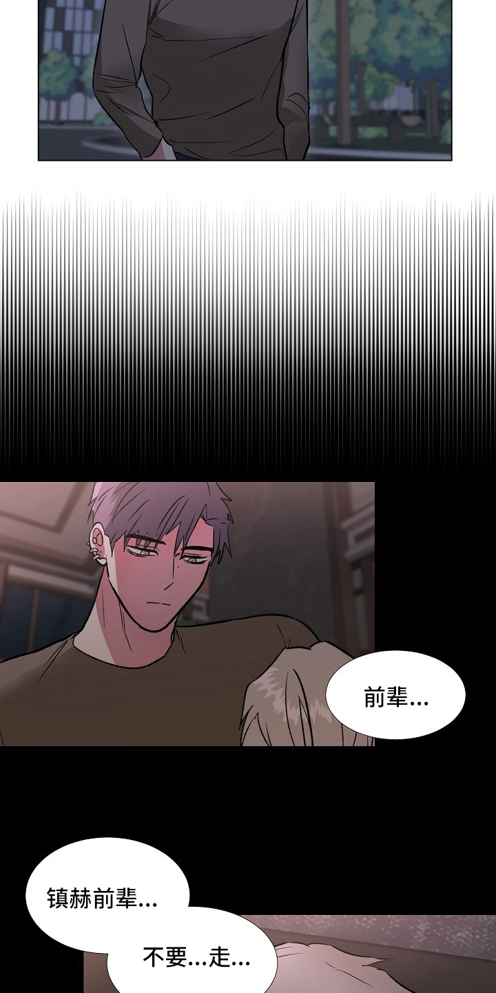第66章：记挂17