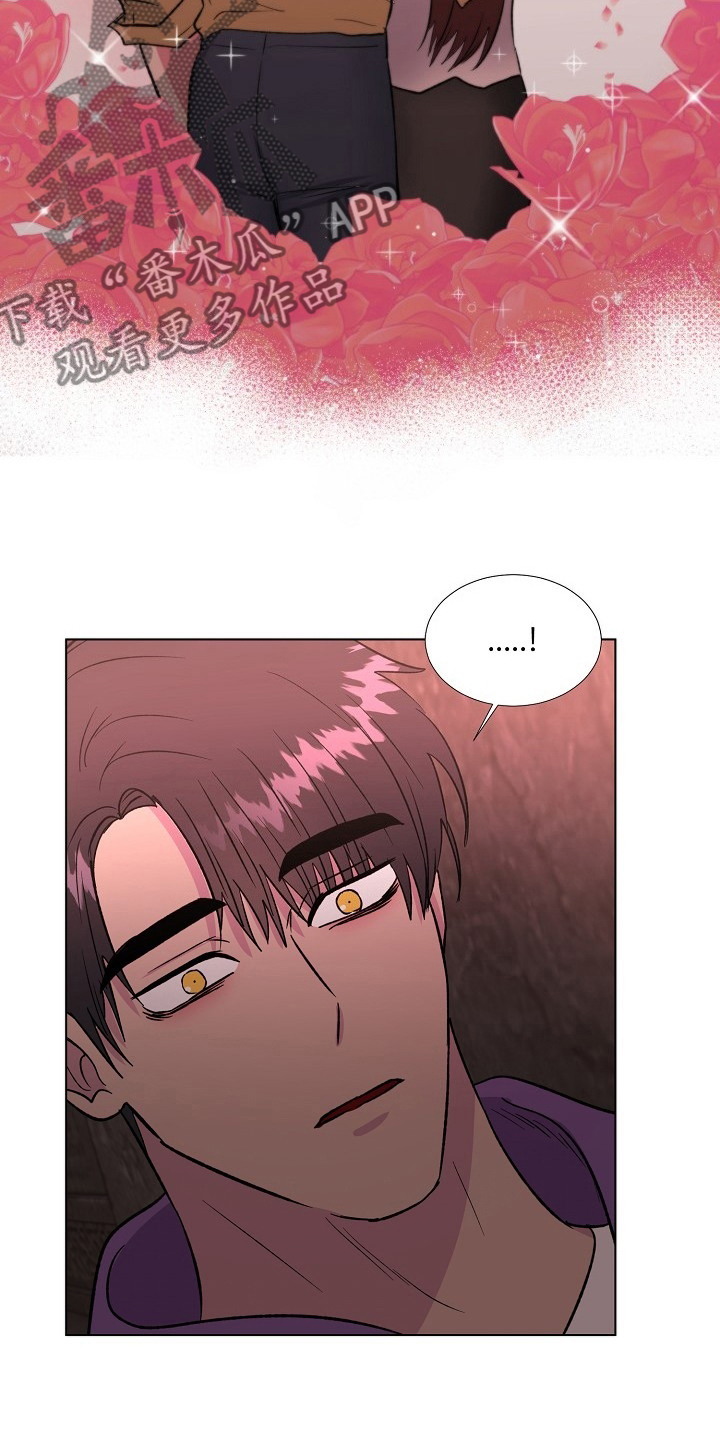 第62章：选择15