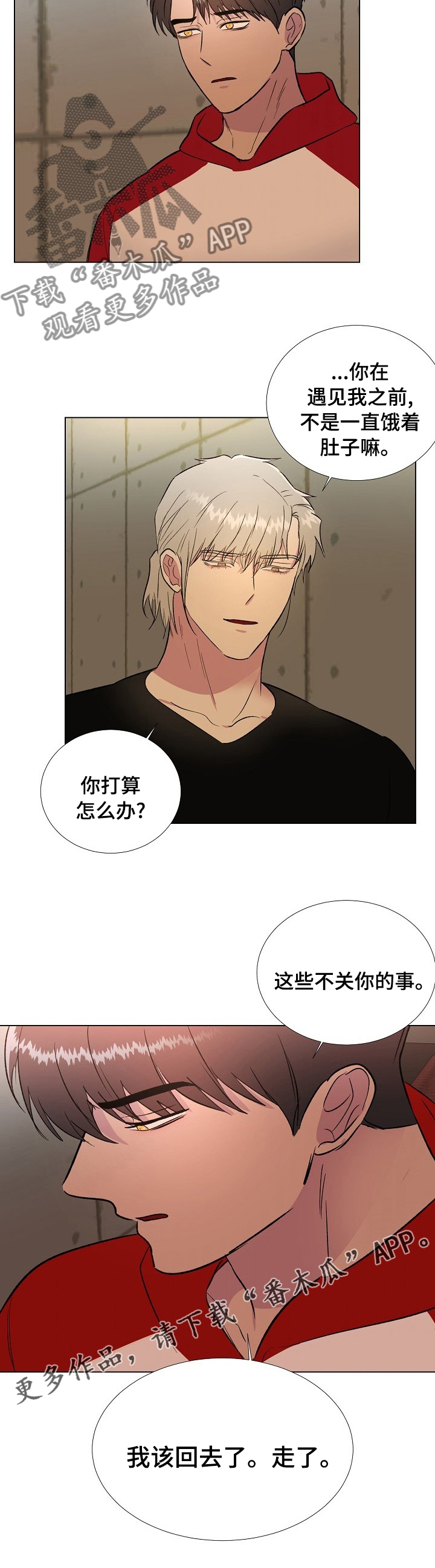 第48章：不关你的事9