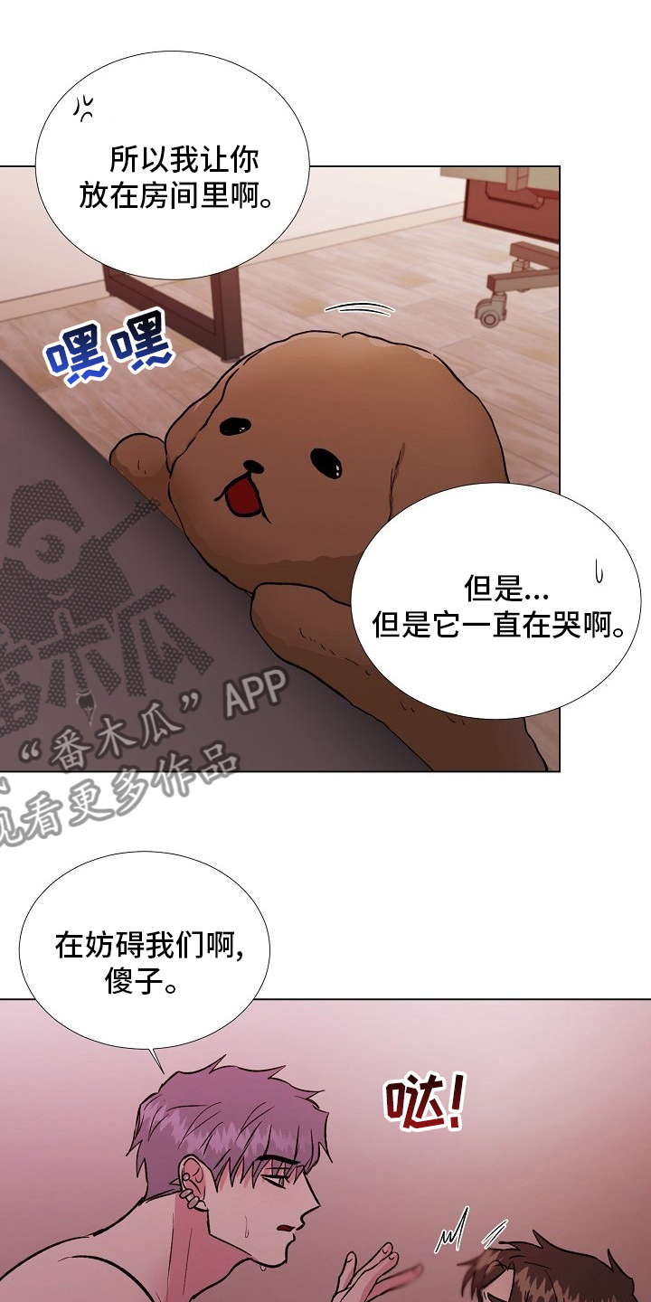第63章：来我家11