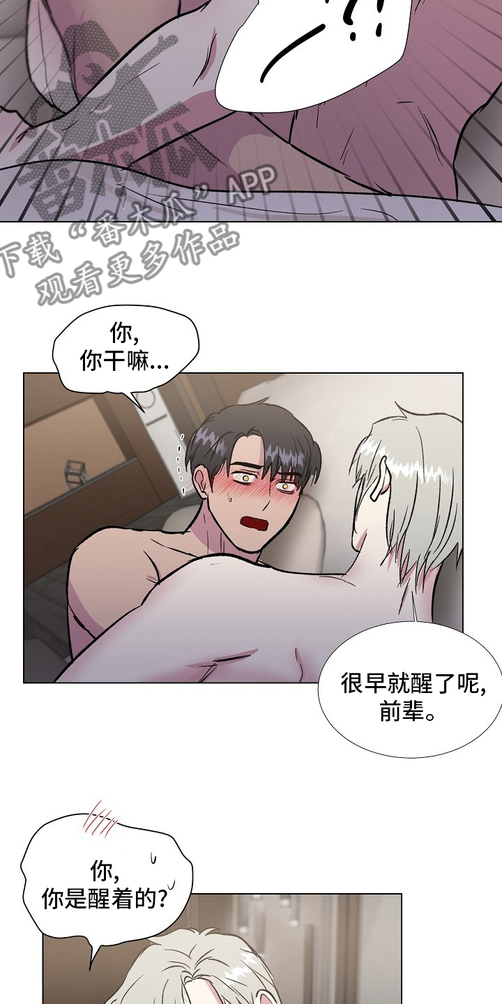 第71章：【完结】决定2