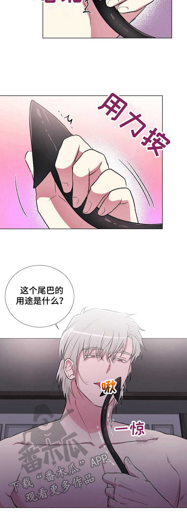 第11章：尾巴10