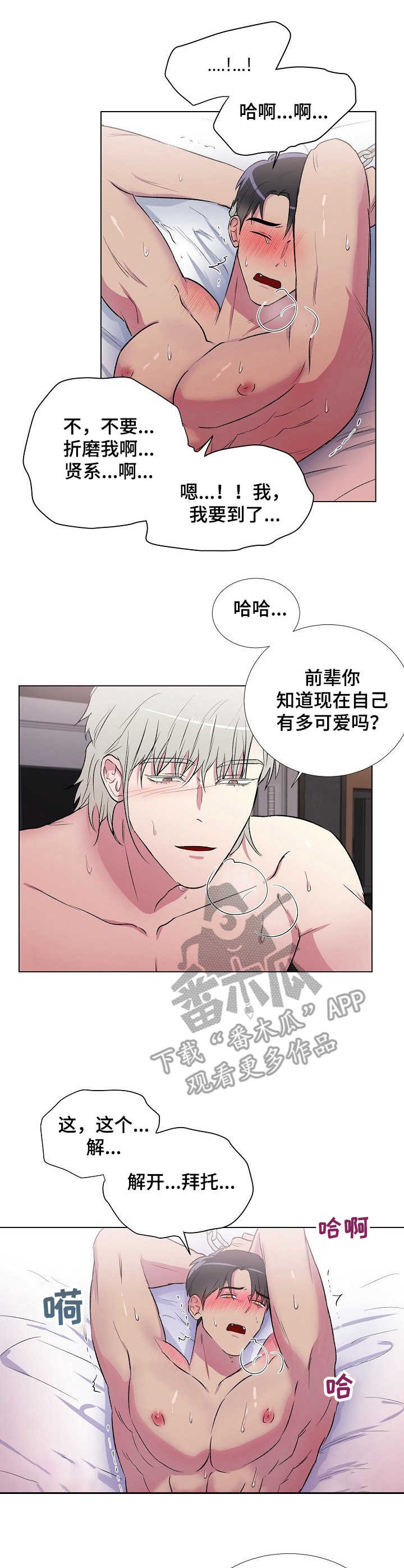 第12章：不解开2