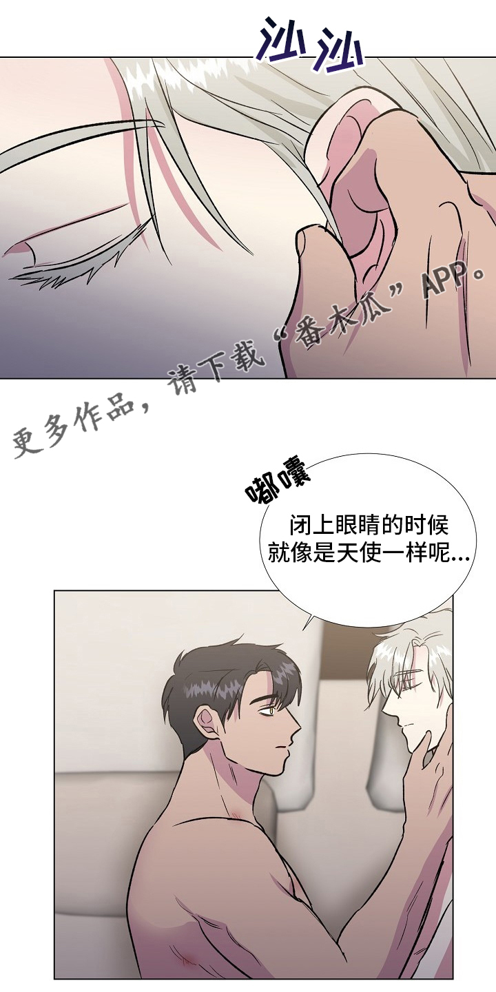 第71章：【完结】决定0