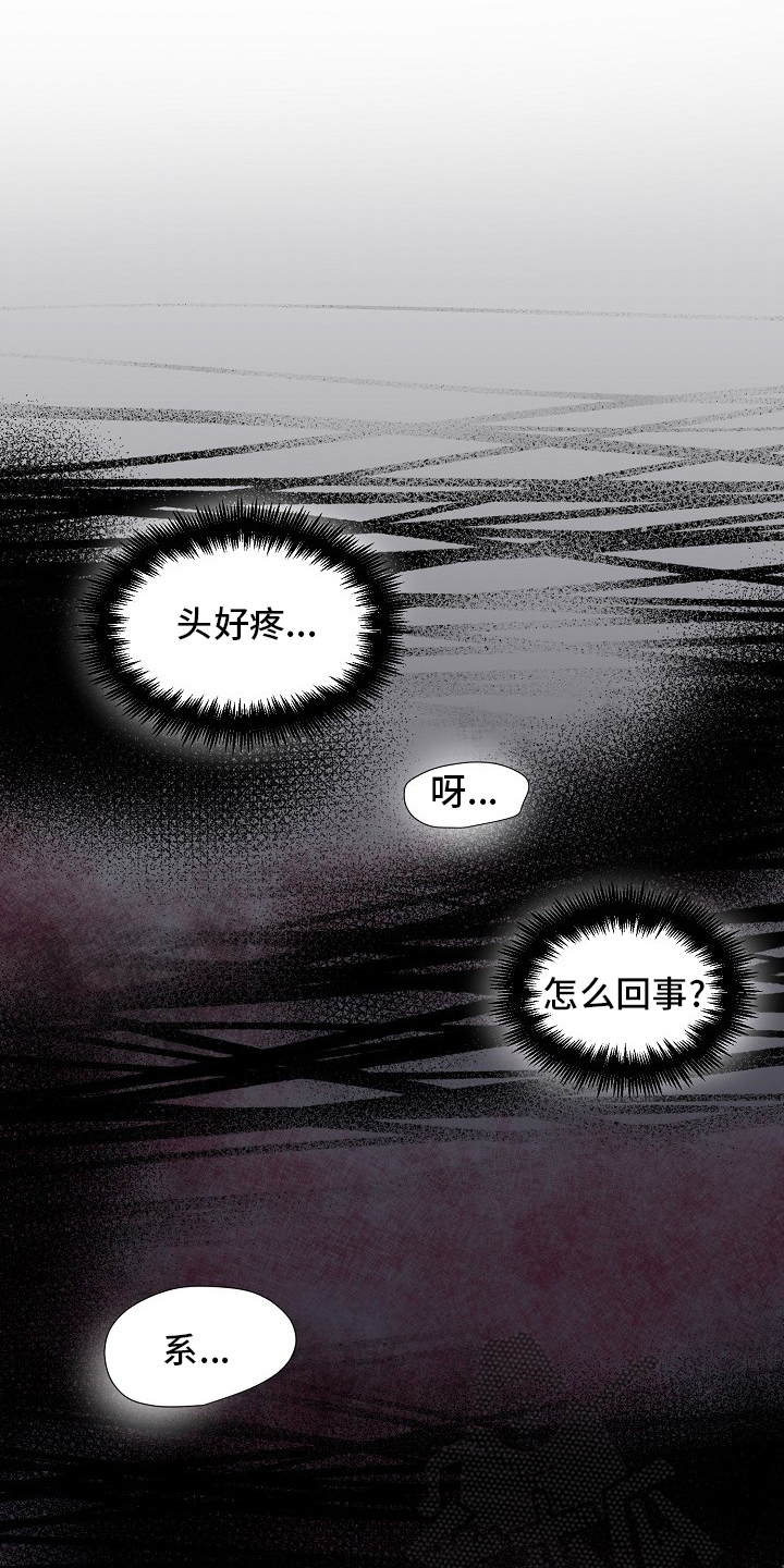 第66章：记挂5