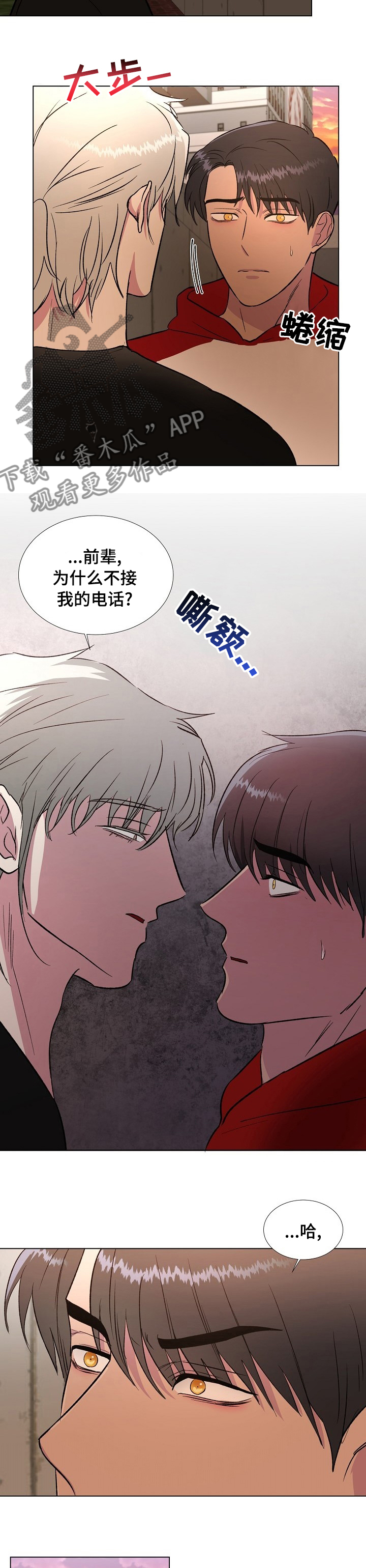 第48章：不关你的事2