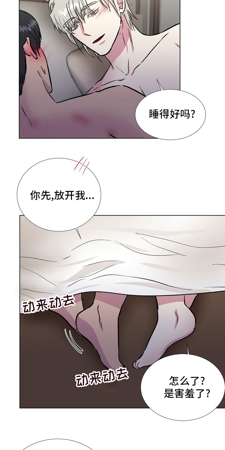 第71章：【完结】决定3
