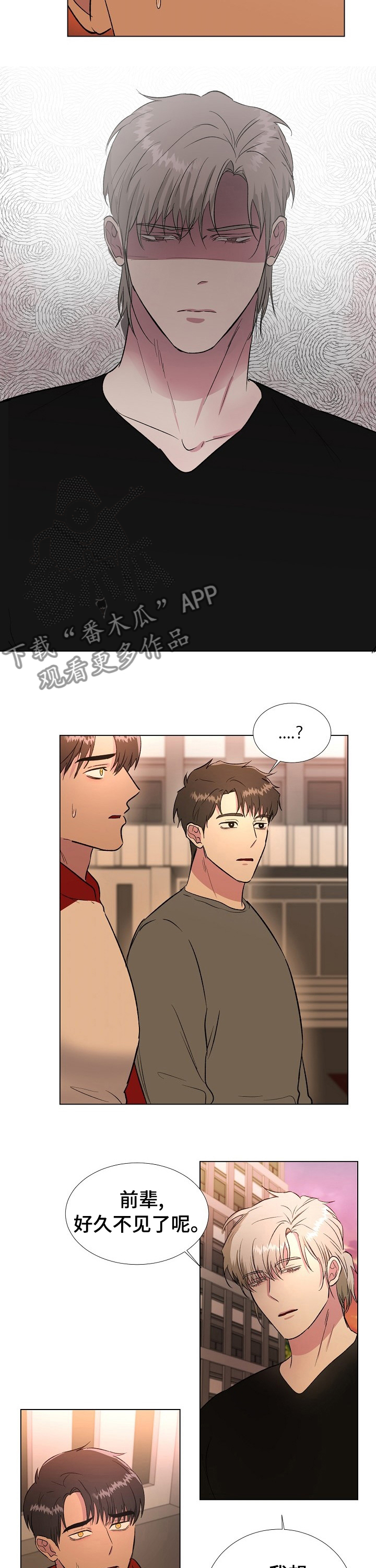 第47章：是谁来着6