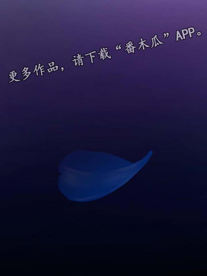 第14章：真凄凉29