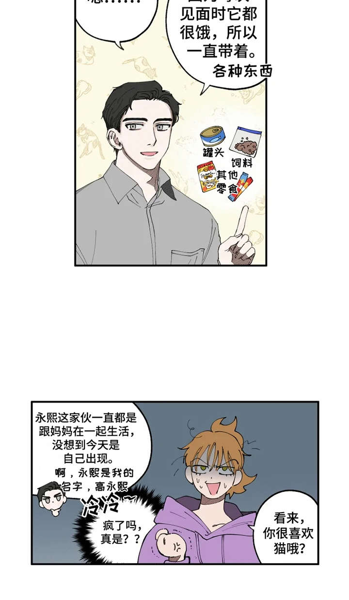 第8章：猫咪9